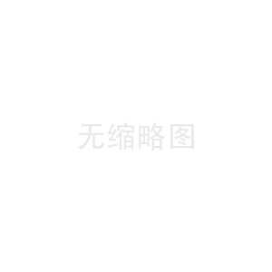 掌诚网络官网如何助力企业成长